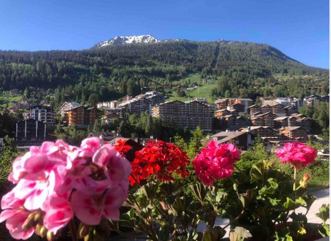 Sunny Swiss Mountain Studio In Centre By Jolidi Nendaz Ngoại thất bức ảnh
